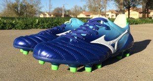 Blue Morelia Neo