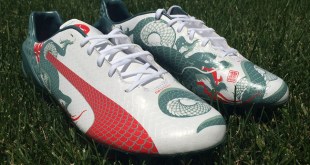 evoSPEED 1.3 Dragon Graphic